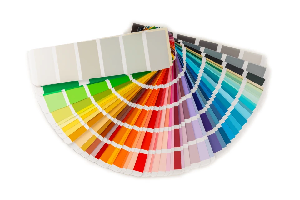 peintre de maison, décorateur homme, choisissez la couleur à l'aide de l'échantillon de nuance, travaillez le mur blanc de la maison pour le rénover, une échelle en bois, un rouleau de peinture et une fenêtre verte comme arrière-plan